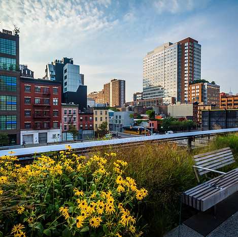 Neuron New York location