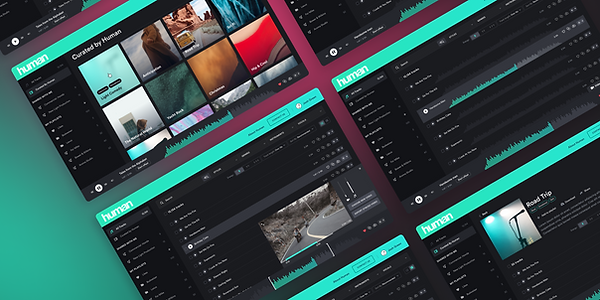 Human UX UI case study preview